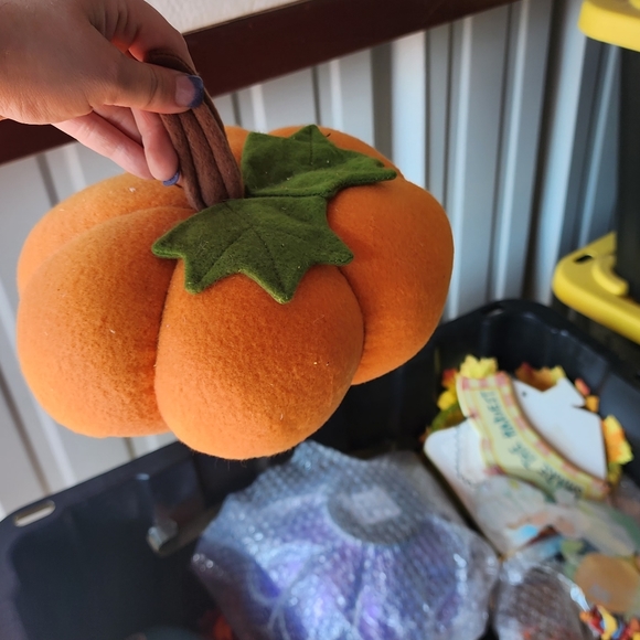 Fall decor lot - Picture 3 of 6